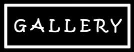 gallery gallery